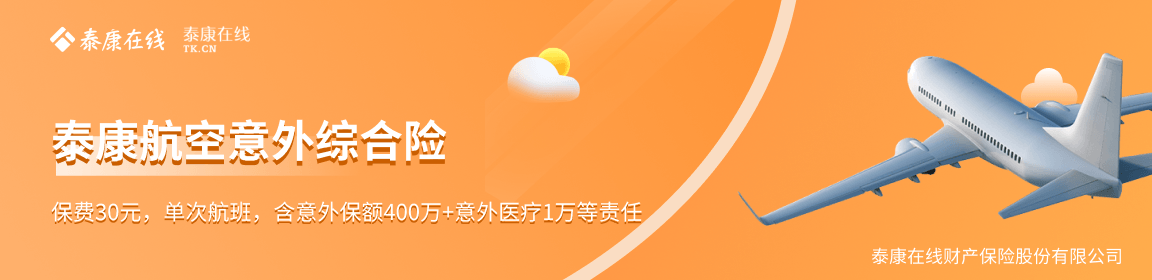 泰康航空意外综合险4